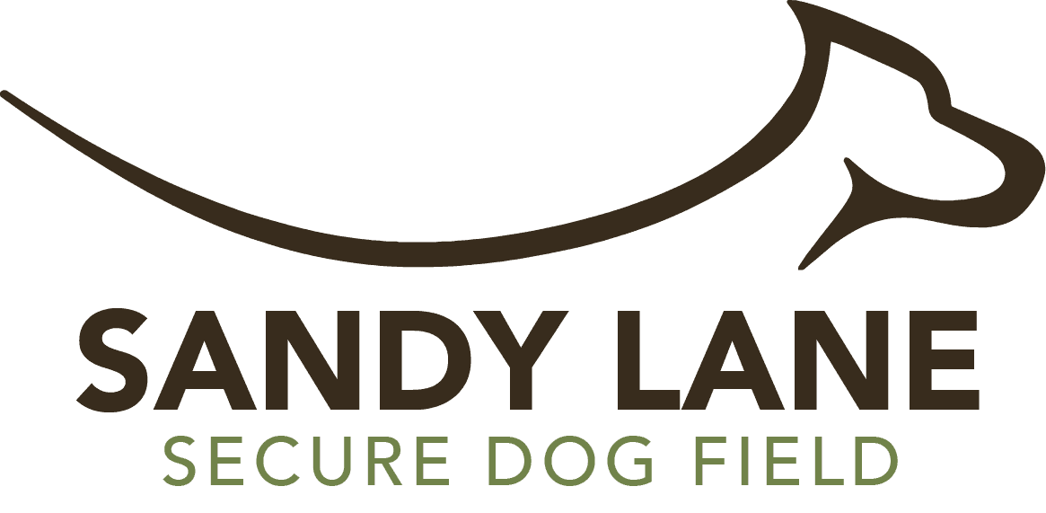 Bark Park at Sandy Lane